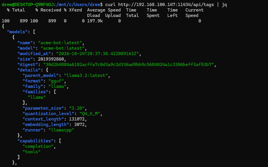 /api/tags showing acme-bot