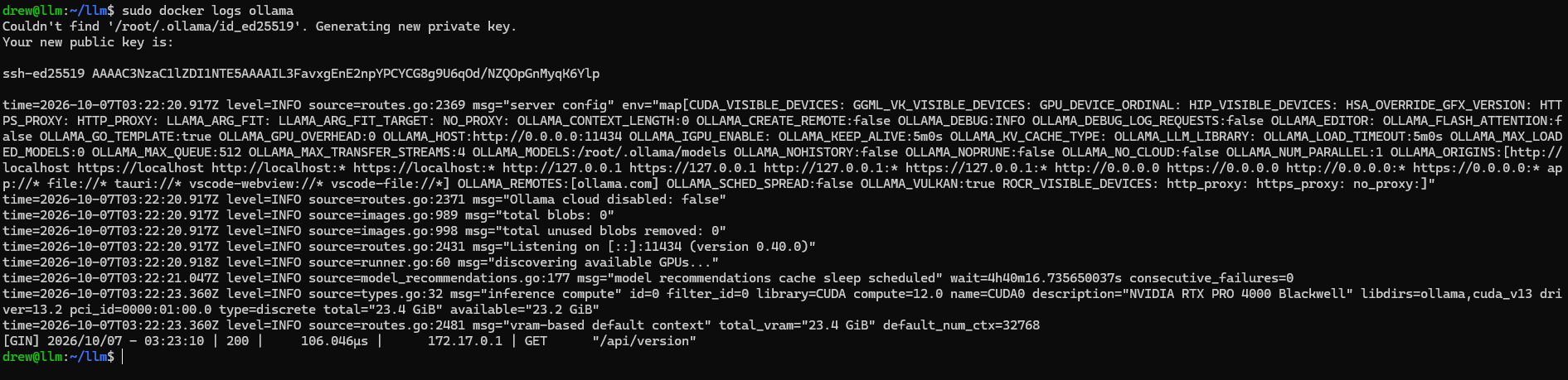 Ollama Docker startup logs