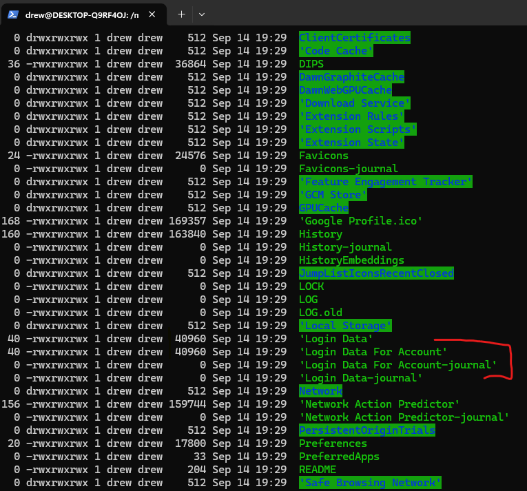 Chrome Login Data in the default profile
