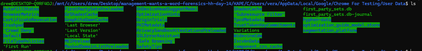 Chrome profile under vera AppData